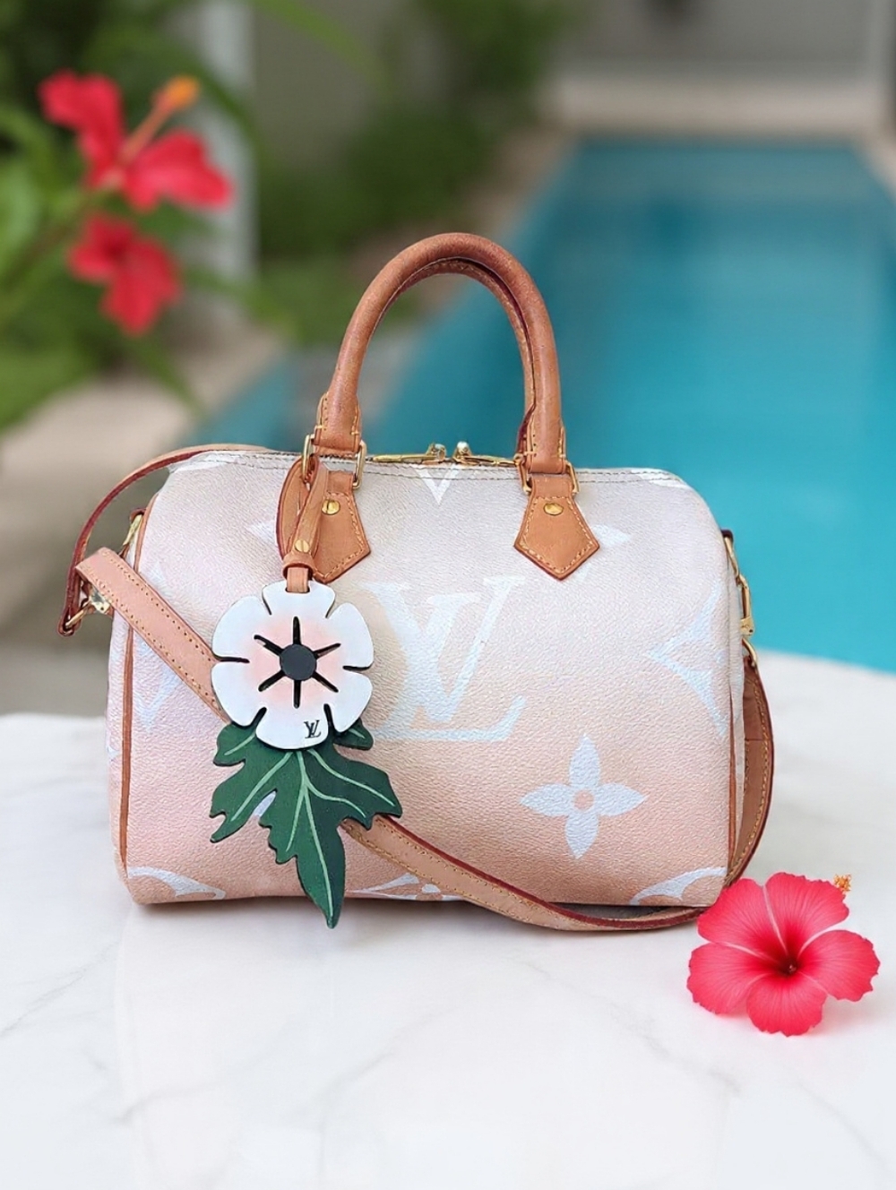 Louis Vuitton By The Pool Speedy Bandouliere 25 Limited Edition ✨ Full Set - Picture 3 of 16